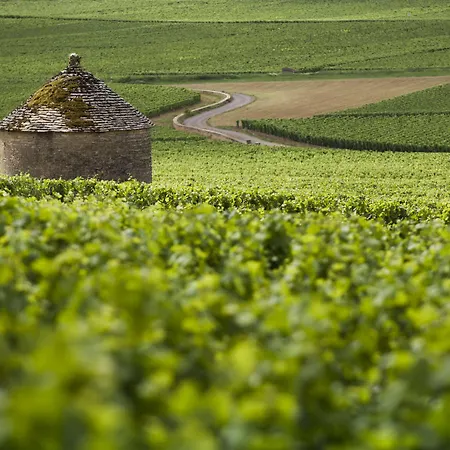 Kyriad Beaune מלון ביון