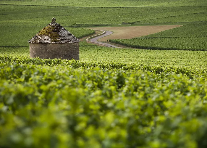 Kyriad Hotel Beaune (Cote d'Or)